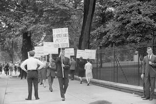 Picture of Lavender scare