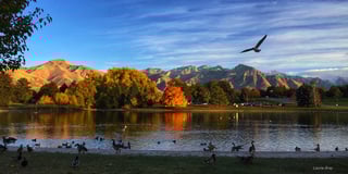 Picture of Sugar House Park