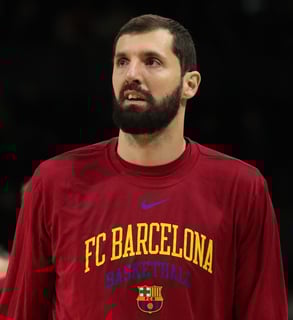 Picture of Nikola Mirotić