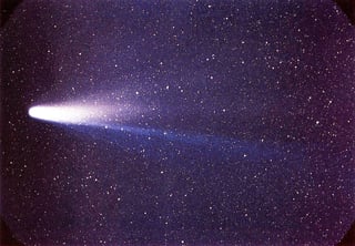 Picture of Halley's Comet