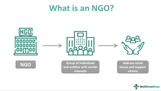 Picture of Non-governmental organization