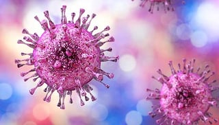 Picture of Herpes simplex virus