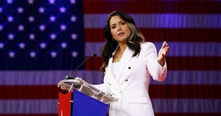 Picture of Tulsi Gabbard