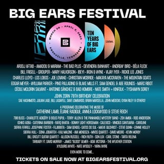 Picture of Big Ears Festival