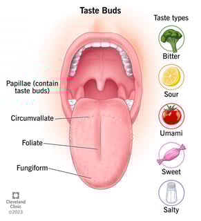 Picture of Taste