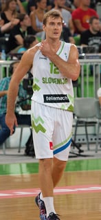 Picture of Zoran Dragić