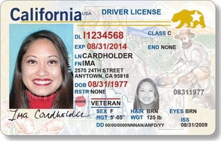 Picture of Driver's license