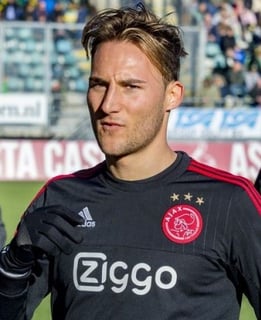 Picture of Nemanja Gudelj