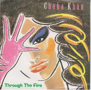 Picture of Through the Fire