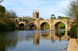 Picture of Hereford