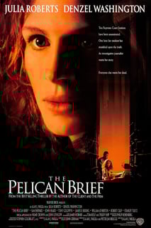 Picture of The Pelican Brief