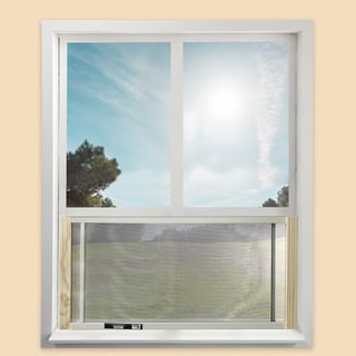 Picture of Window