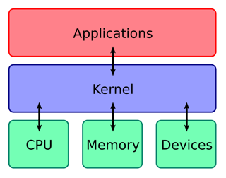 Picture of Kernel