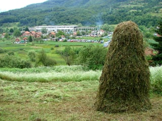Picture of Potočari