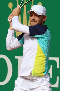 Picture of David Goffin