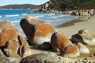 Picture of Wilsons Promontory National Park