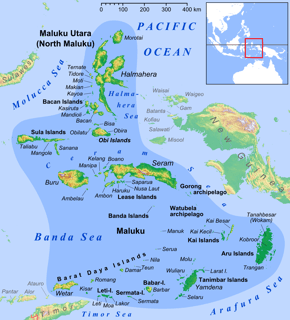 Picture of Maluku Islands