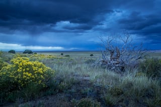 Picture of Great Plains