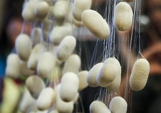 Picture of Silk