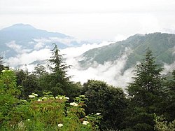 Picture of Chail