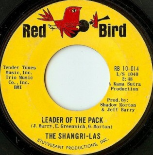 Picture of Leader of the Pack