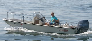 Picture of Boston Whaler