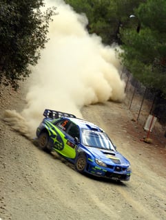 Picture of Rallying