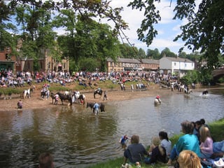 Picture of Appleby Horse Fair