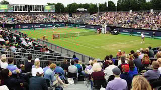 Picture of Rosmalen Grass Court Championships