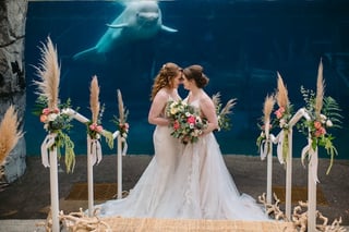 Picture of Mystic Aquarium