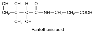 Picture of Pantothenic acid