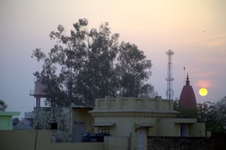 Picture of Shamli