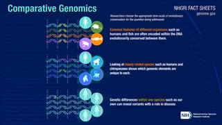 Picture of Genomics
