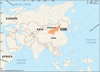 Picture of Gobi Desert