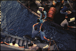 Picture of Refugee Act