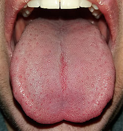 Picture of tongue