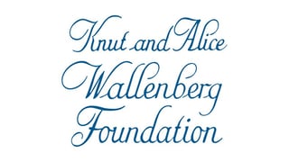 Picture of Knut and Alice Wallenberg Foundation