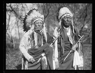 Picture of Cheyenne