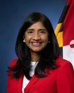 Picture of Lieutenant governor