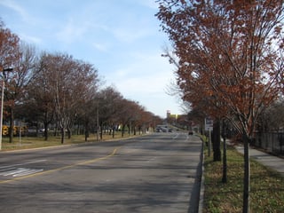 Picture of Melnea Cass Boulevard