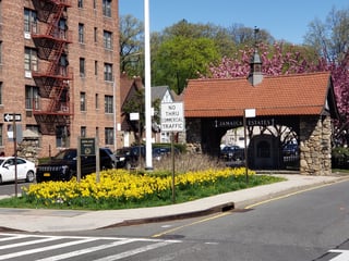 Picture of Jamaica Estates