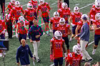 Picture of Stony Brook Seawolves football