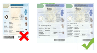 Picture of Special Immigrant Visa
