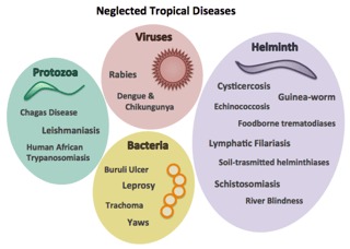 Picture of neglected tropical disease