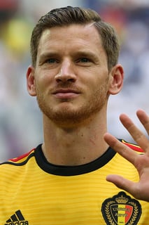 Picture of Jan Vertonghen