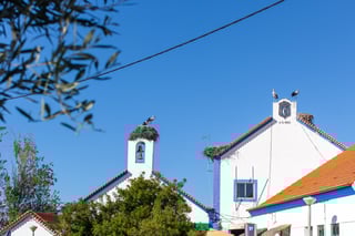Picture of Comporta