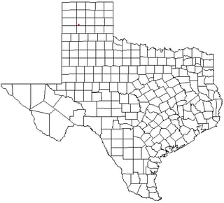 Picture of Bushland