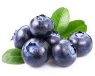 Picture of Blueberry
