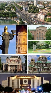 Picture of Sofia