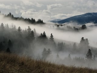 Picture of Fog
